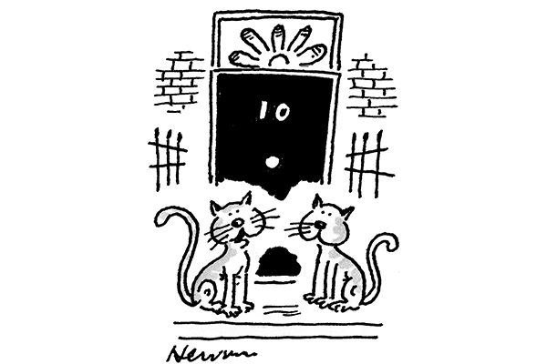 With Boris Is It Nine Lives Or Nine Wives