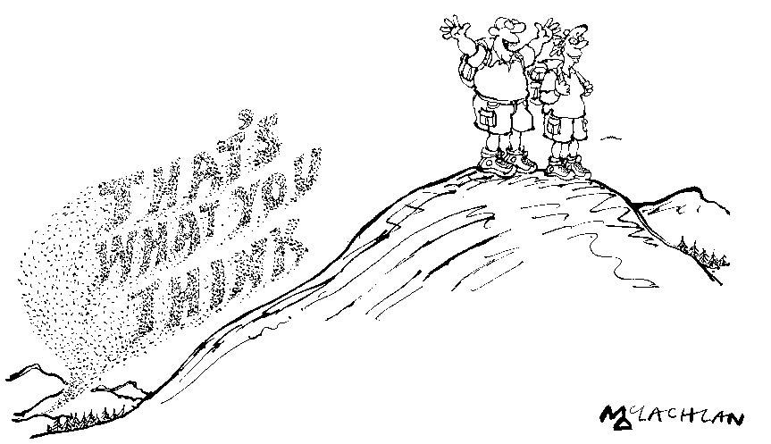 16 July 2011 Cartoon Pg 56