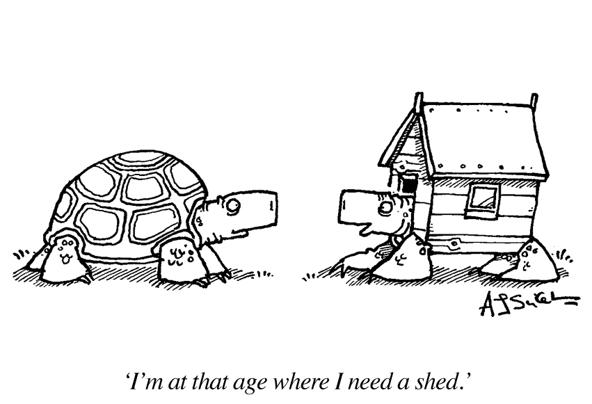 Shed