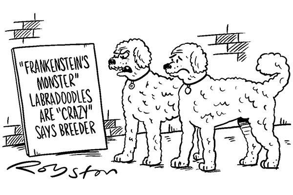 Breeds