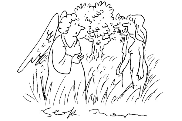 Angels