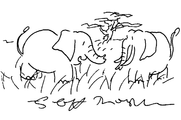 Elephants 2