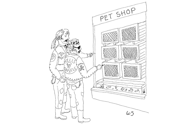 Pets