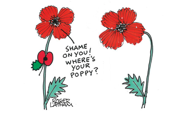 Poppy