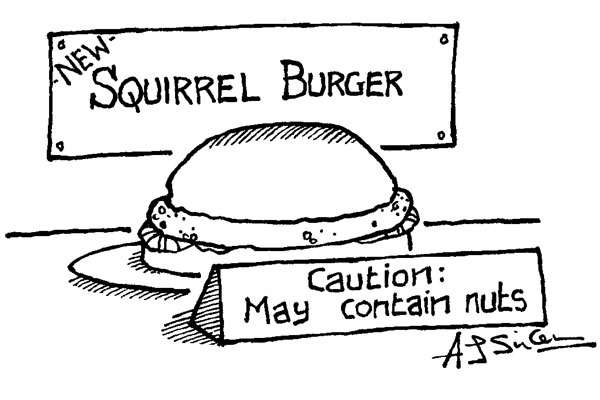 Squirrel Burger