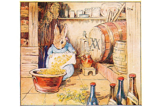 The art of Beatrix Potter