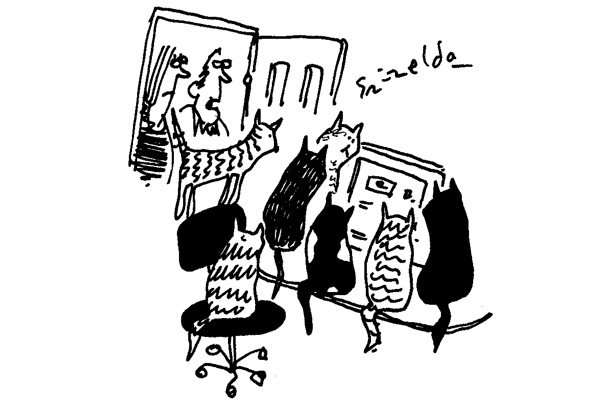 Cats 2
