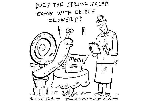 Snail 2
