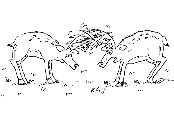 Do You Ever Feel Like Youre Stuck In A Rut