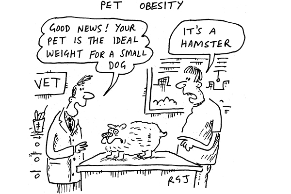 Pet Obesity