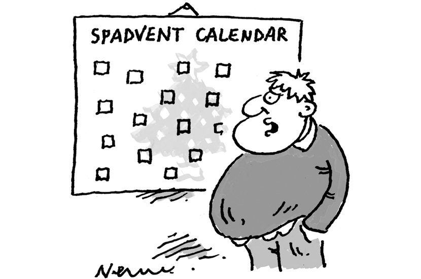 Special adviser advent calendar