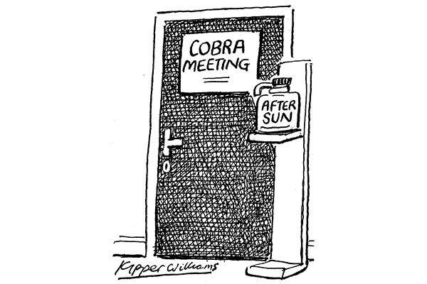 Cobra meeting