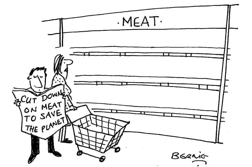 Cut down on meat