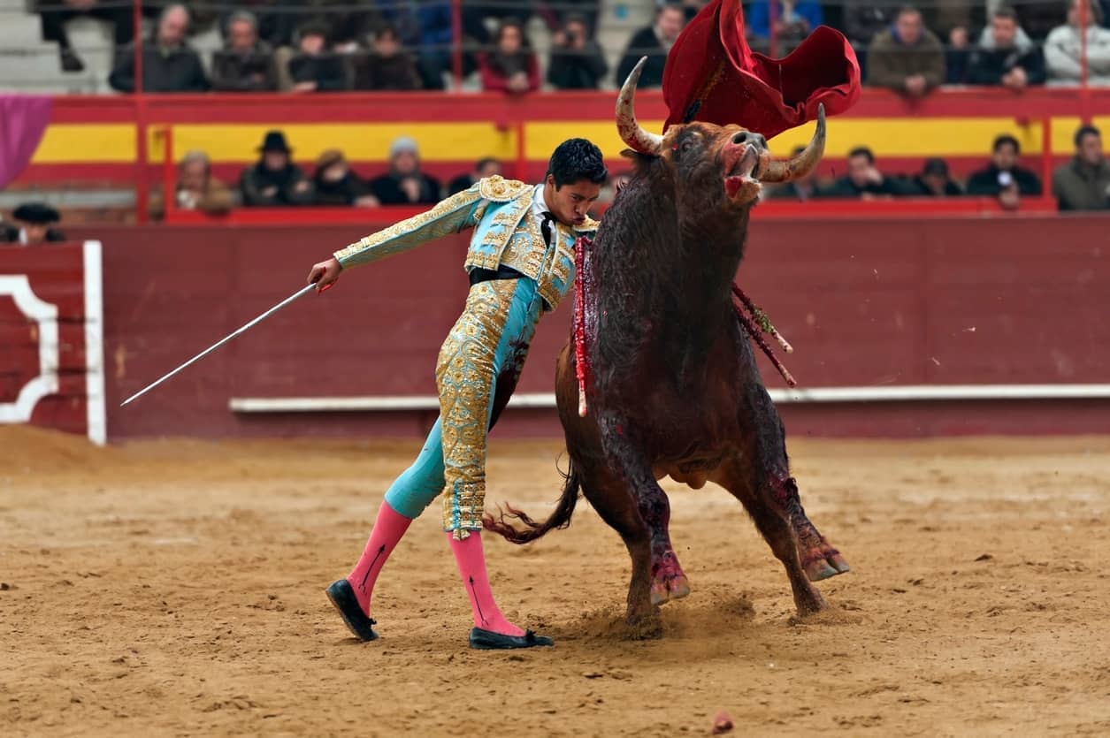 Bullfighting and the fight for Spain's future | The Spectator