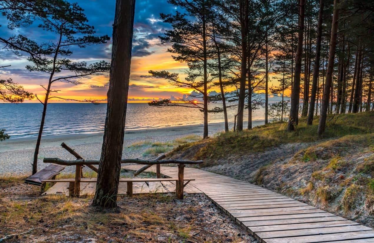 iStock-1086624058.jpg