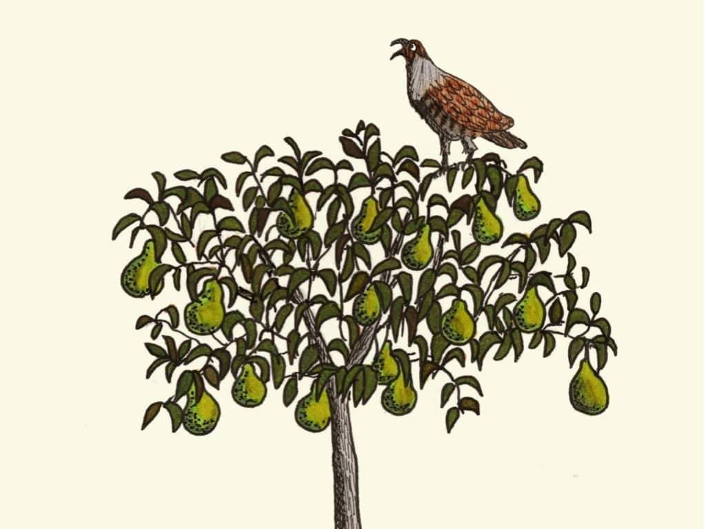 How to cook 'a partridge in a pear tree' The Spectator