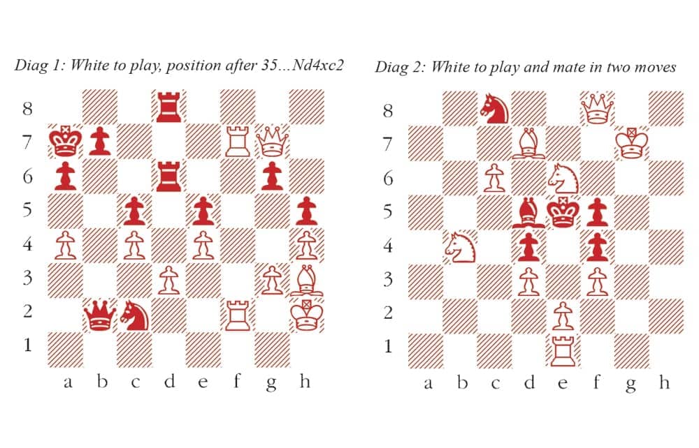 The queen of chess makes her next move - The Spectator World