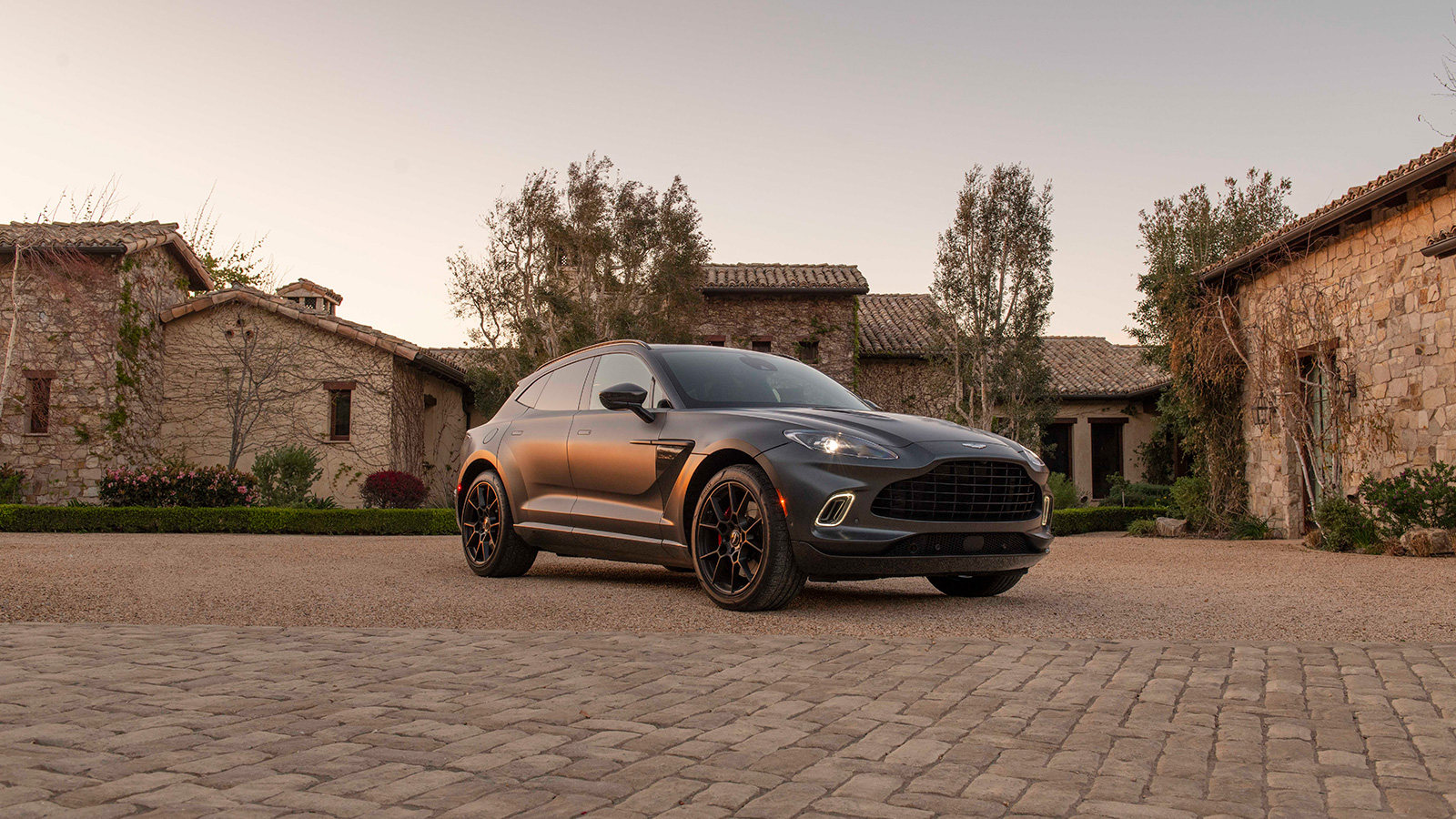Aston_Martin_DBX.jpg