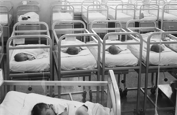 Brave new hot sale world babies