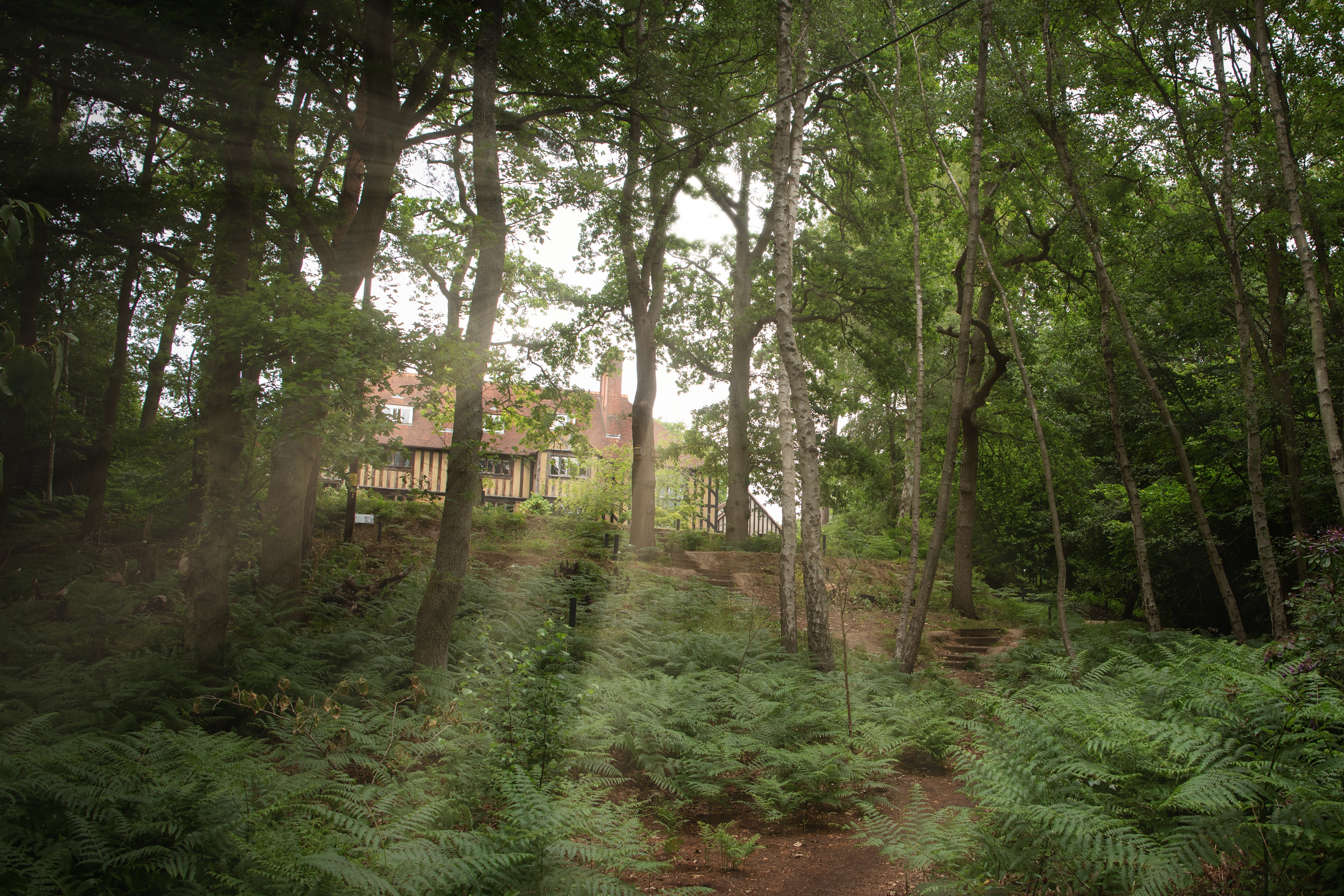 Limnerslease_the_artists_house_and_studios_photo_Andy_Newbold.jpg