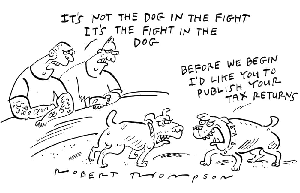Fight in the dog