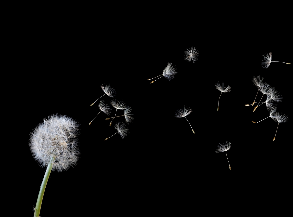 iStock-187425406.jpg
