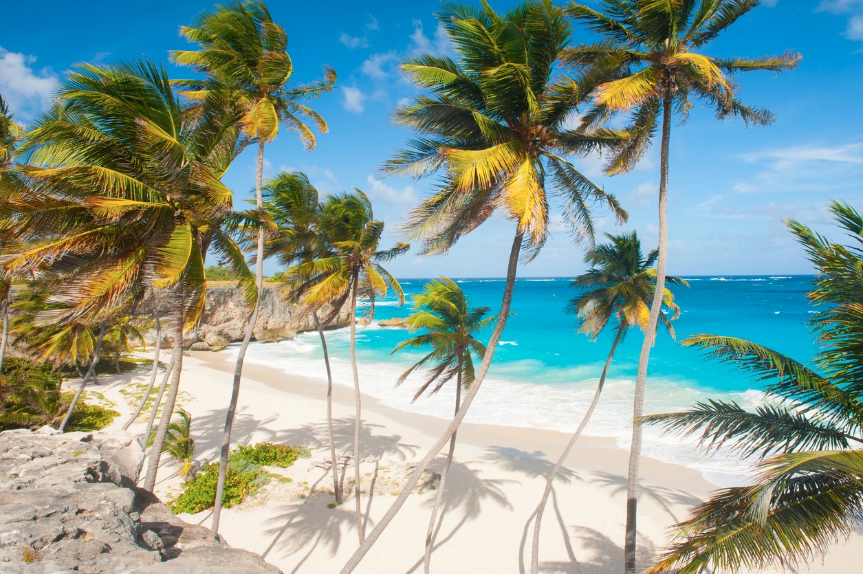iStock-537762079.jpg