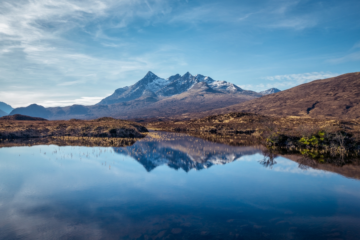 iStock-683515086.jpg