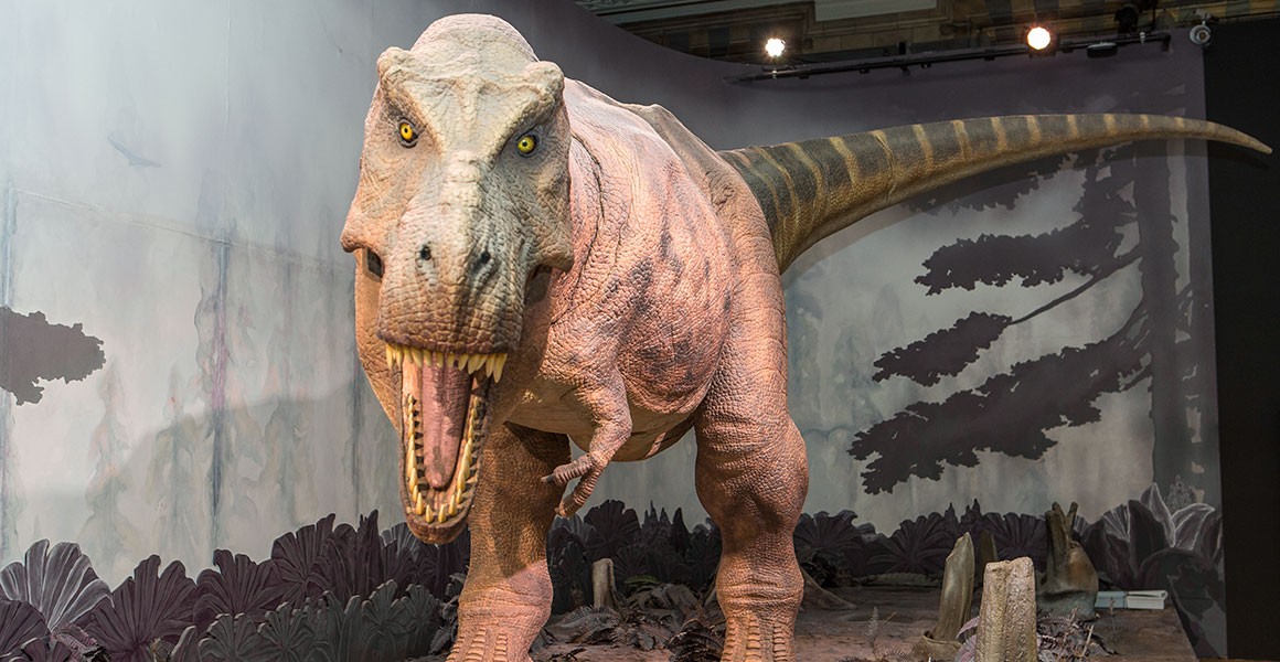 t_rex.jpg