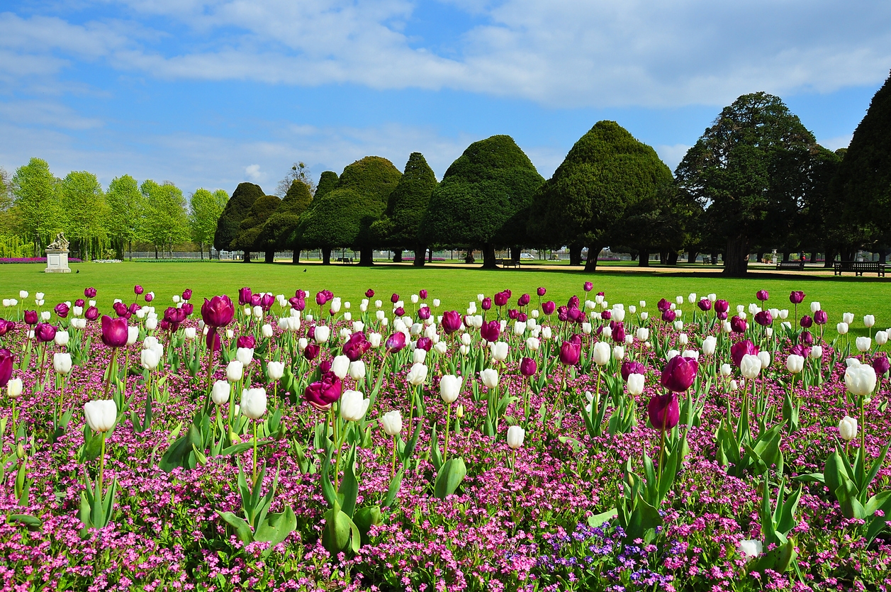 iStock-1010011408.jpg