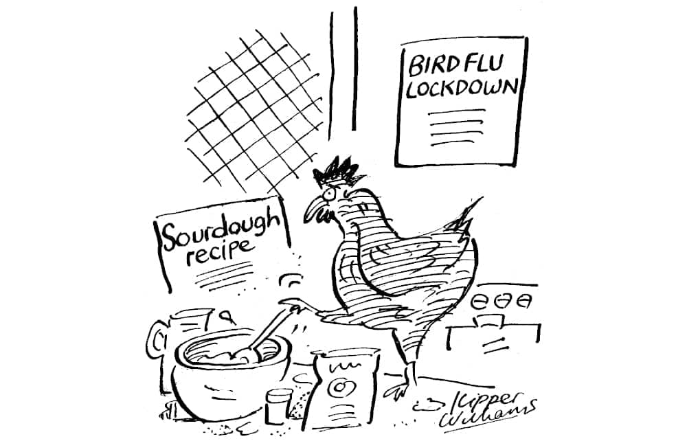 Bird flu lockdown