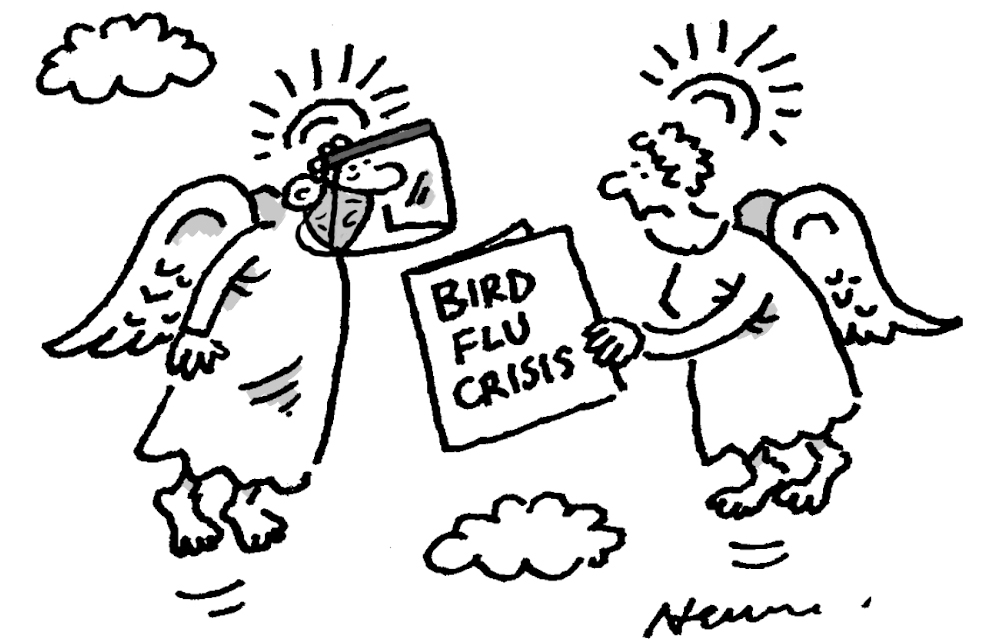 Bird flu crisis