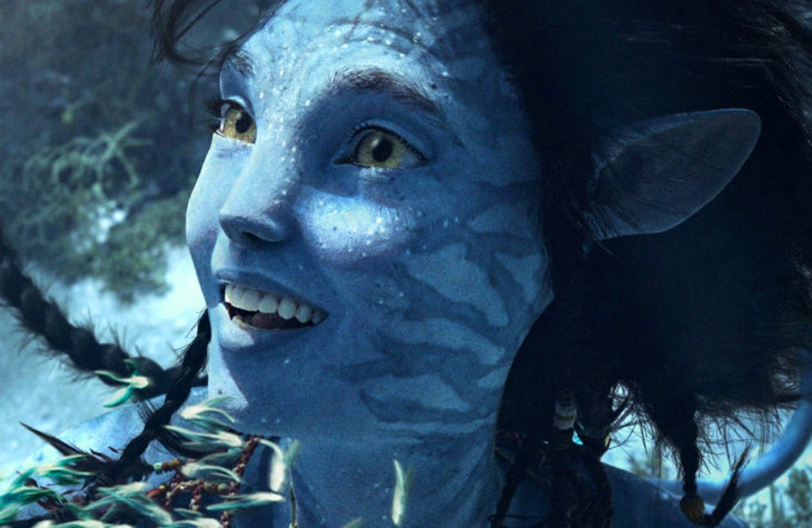 Deluxe Avatar Neytiri Costume  FantasiaWear