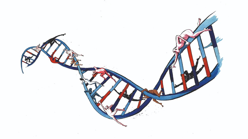 Who really discovered DNA’s structure?