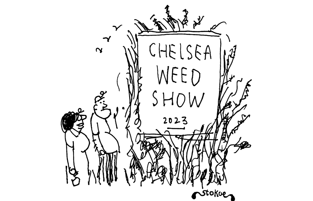 Chelsea weed show 2023