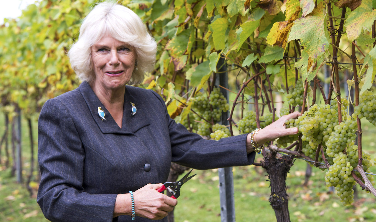 The wisdom of pitchforkwielding crowds The Spectator