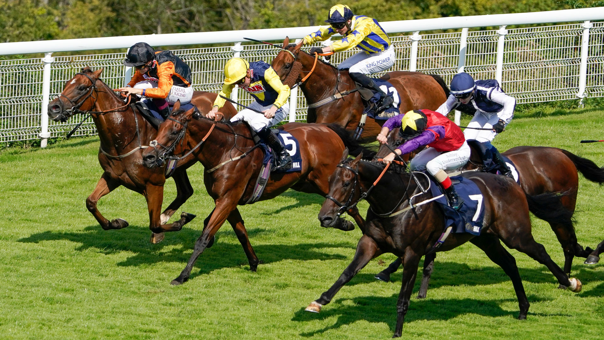 Two ante-post bets for Glorious Goodwood | The Spectator