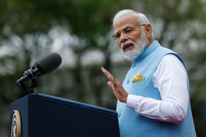 Modi’s cheetah rewilding project is coming unstuck