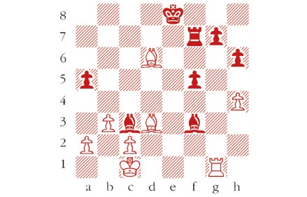 Past Chess Puzzles & Answers