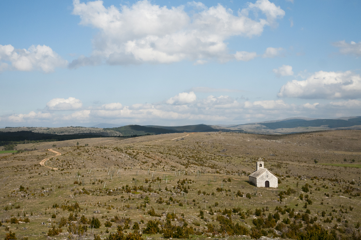 Sean Thomas, Author at The Spectator