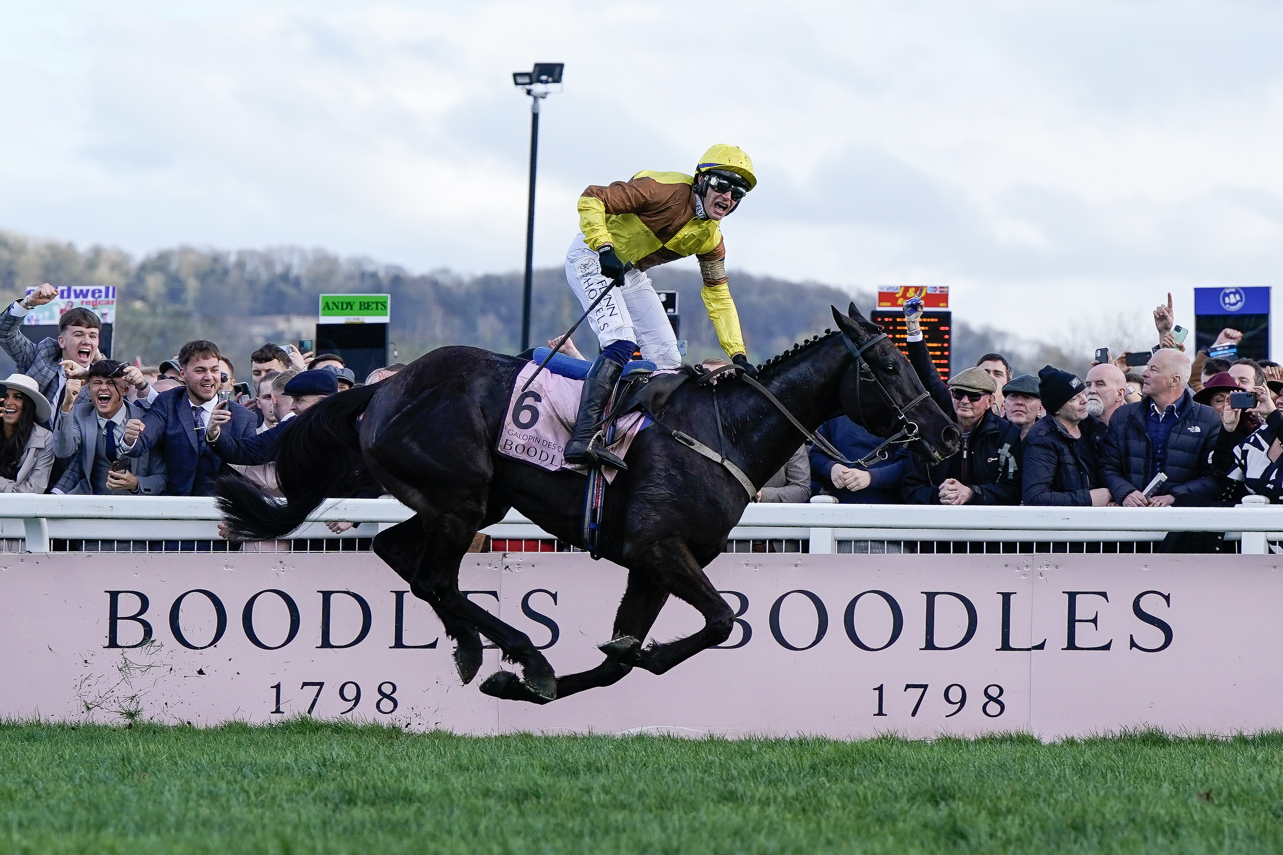 Latest Cheltenham Odds 2024 Cheltenham Festival Betting