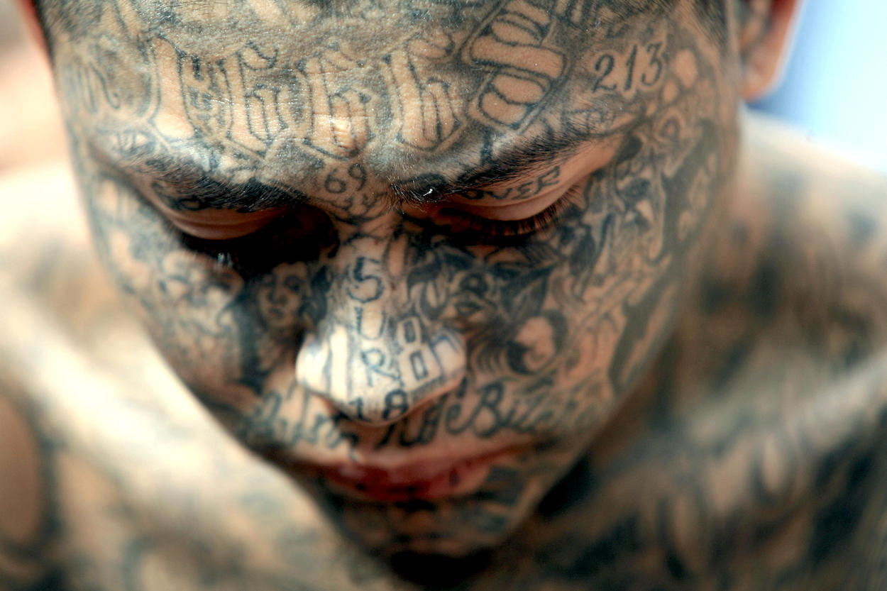 Sean Thomas, Author at The Spectator