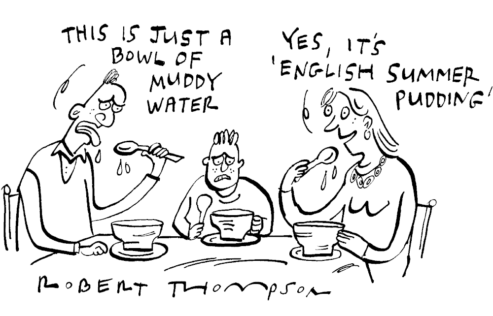 This is just a bowl of muddy water