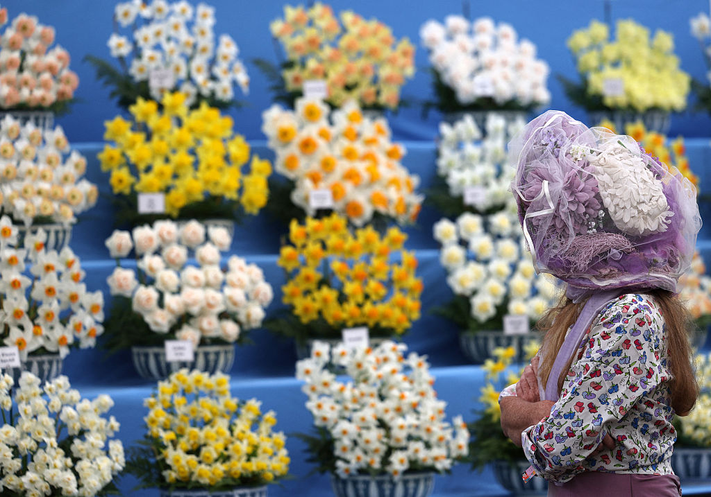 The cheapening of the Chelsea Flower Show