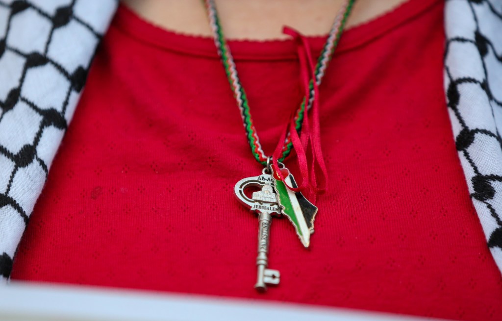 The delusion of western Palestine activists in Egypt