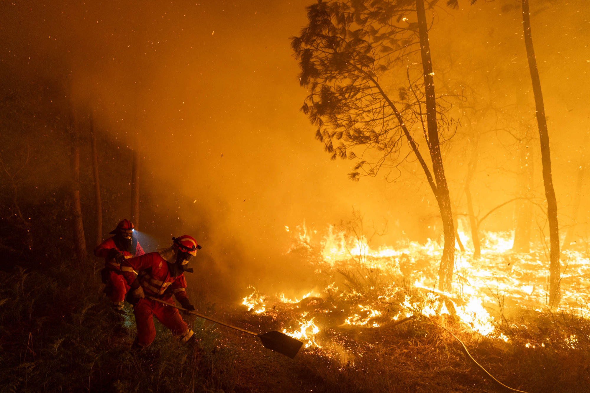 Spain’s wildfires have exposed the inadequacy of its politicians