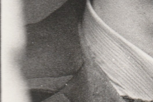 Laura Gascoigne in 1967. Image: Laura Gascoigne