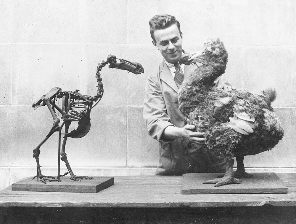 Welcome to the age of de-extinction