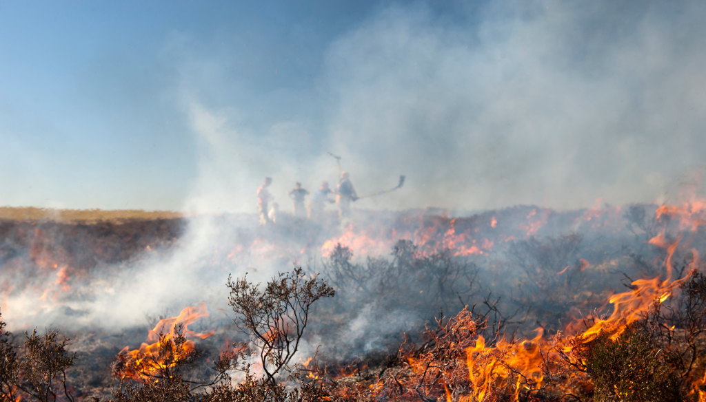 Labour’s class war on moorland