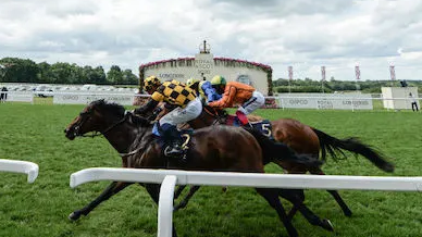 Reeves’ Budget could mark the finish line for British horse racing